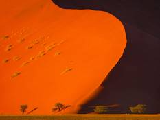 Red sand dunes in the Namib desert