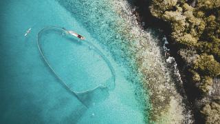 Paradies im Atlantischen Ozean