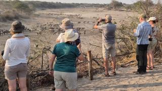 Als individuelle Gruppe