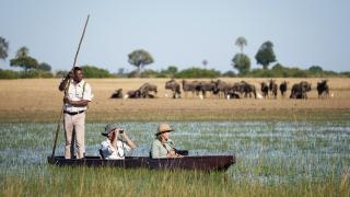 Mokoro Fahrt durch die Stille des Okavango Deltas
