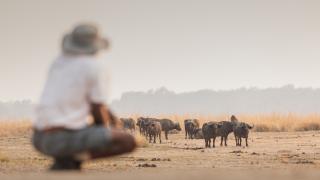 Tierbegnungen mit Respekt und Faszination