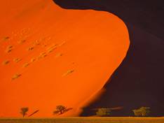 Dune in the Namib Naukluft National Park