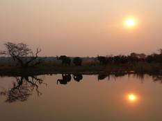 The peaceful Okavango River