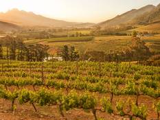 The Winelands area near Cape Town Wine Farm in the Cape area